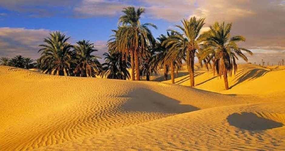 Day tour to Fayoum Oasis from Cairo