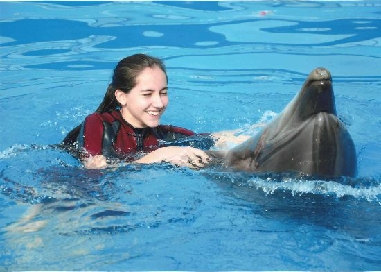 السباحة مع الدلافين بالغردقة