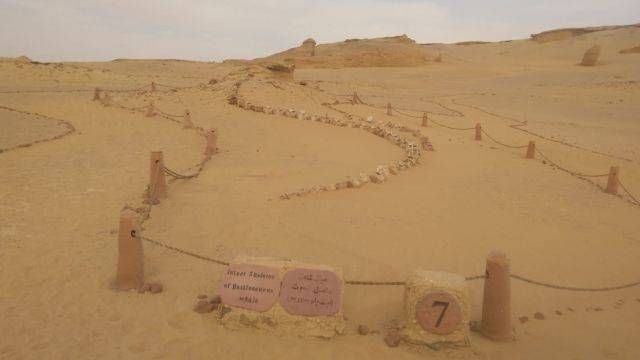 2 Day Tour to wadi el Hitan in Fayoum from Cairo