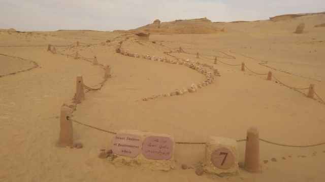 4 Days trip camping Trip in wadi el Hitan and white desert from Alexanderia