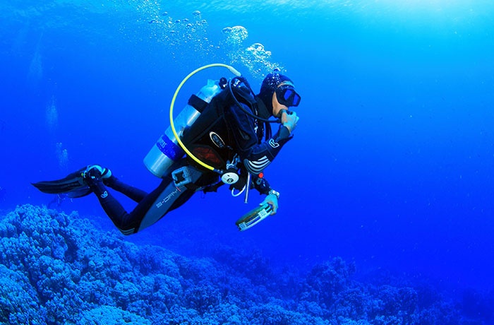Diving Tours From Portghalib