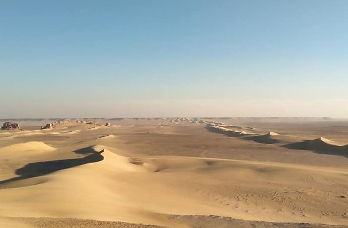 Egypt desert Safari Tours