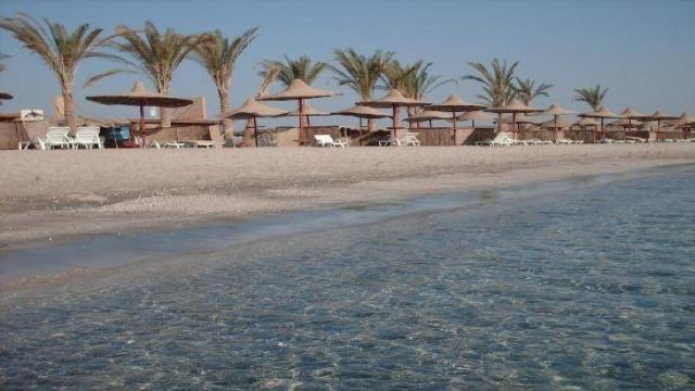 Find the Dugong at Abu Dabab beach by Speed boat from Hurghada