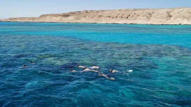 Paradise Island Snorkeling tour from Sahel Hashesh