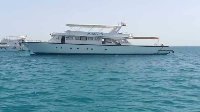 Private snorkeling boat Trip to dolphin house from El Gouna