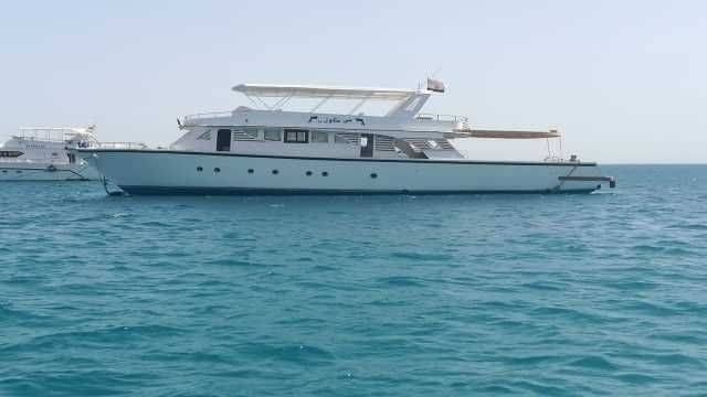 Private snorkeling boat Trip to dolphin house from Hurghada