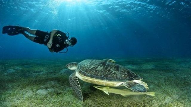 Private transfer from Luxor hotel to El Quseir Hoel Private transfer from Luxor hotel to El Quseir Hoel