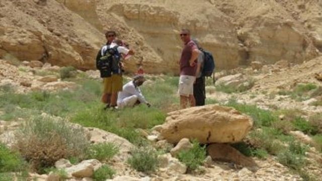 Private trip to Wadi El Gemal from Marsa Alam