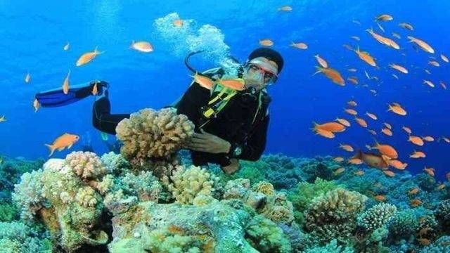 Scuba diving trip from Hurghada