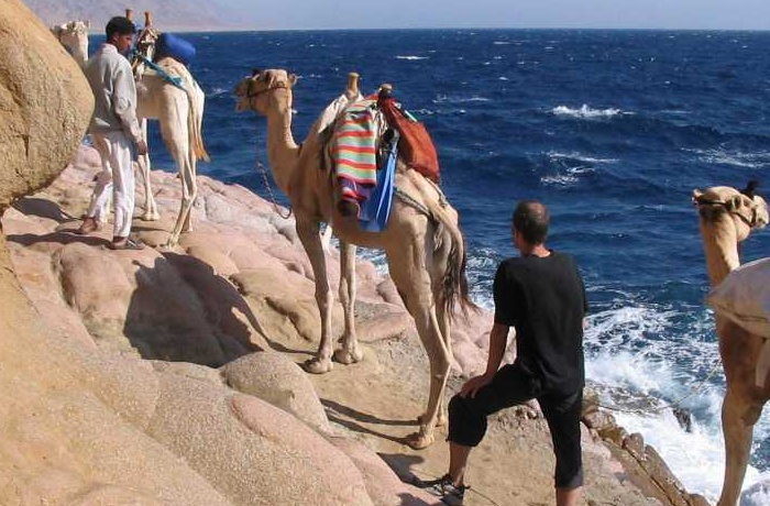 Sharm El Sheikh Tours | Sharm El Sheikh Excursions | Trips in Sharm el Sheikh