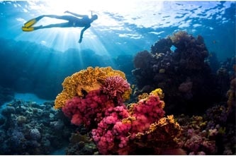 Snorkeling trips from Sahl Hasheesh