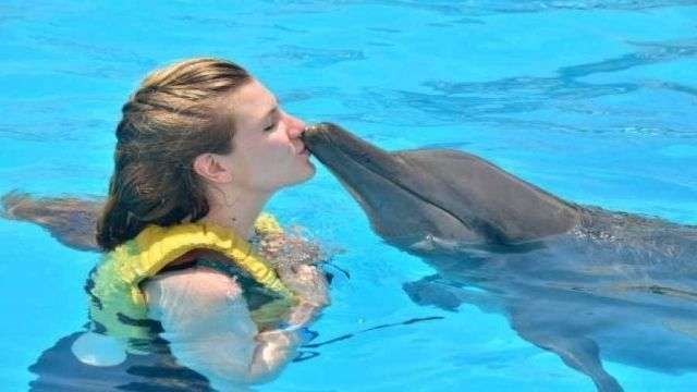 Swim with dolphins in Sharm el Sheikh
