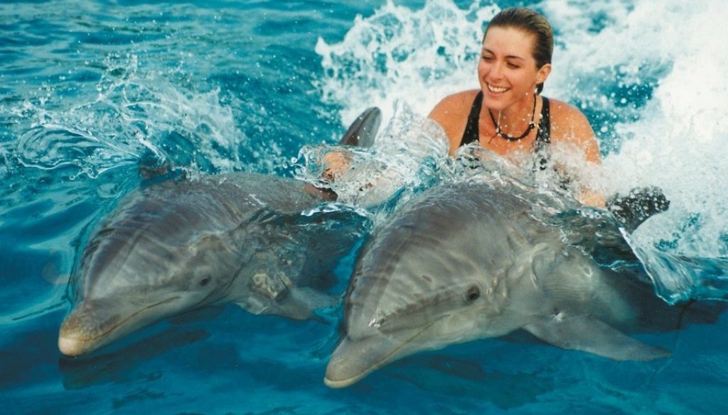 Swimming with dolphins Excursion from Sahel Hashesh