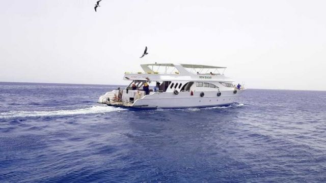 Utopia island Snorkeling tour from Sahel Hashesh