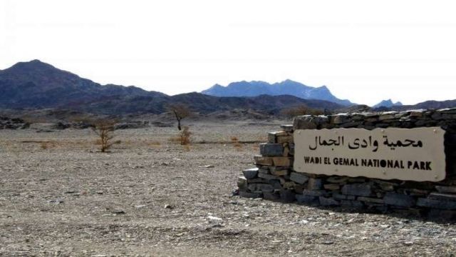 Wadi El Gemal trip from El Quseir