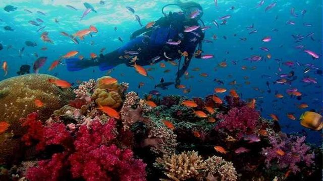 day scuba diving El Gouna Egypt Red Sea