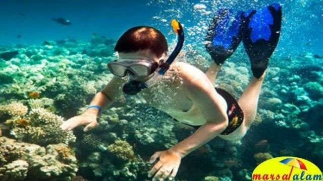 snorkeling at dolphin house from marsa alam