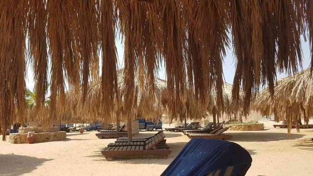 Excursion de esnorquel en Sharm el Naga Bay desde El Gouna