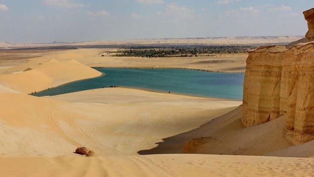 Excursion de un dia a Wadi al Hitan desde el Oasis de Fayoum