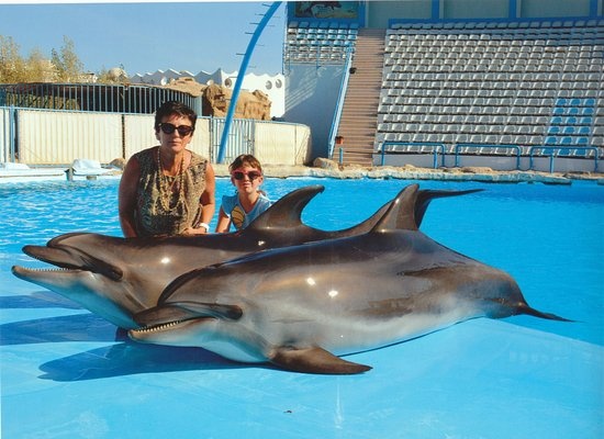 Excursiones de Nadar con delfines en Hurghada