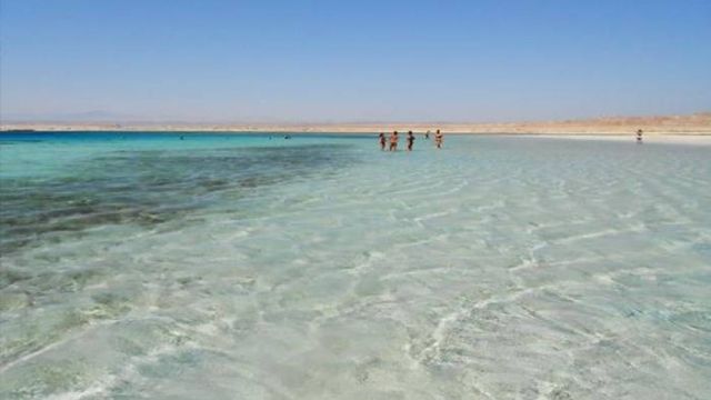 Excursiones de esnorquel a Sharm el Luli desde Marsa Alam
