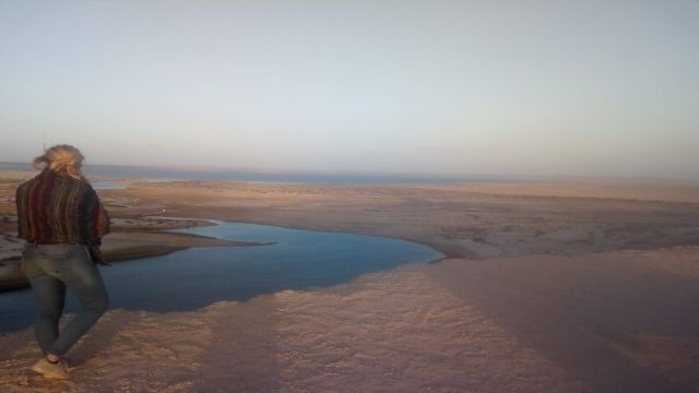 Viaje de 3 dias Desierto blanco y wadi el Hitan desde El Cairo