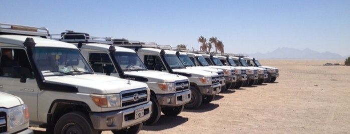 Tour de safari por el desierto de 5 horas en jeep desde Makadi