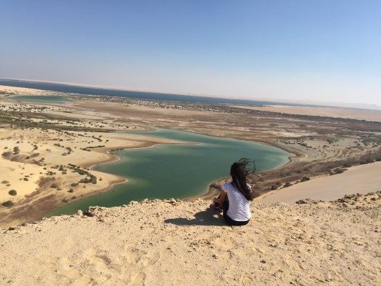 Excursión de un día a Wadi al Hitan y Fayoum Oasis desde Hurghada