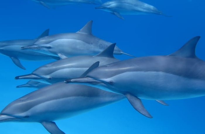Activités et loisirs à Hurghada