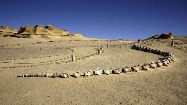 Excursion de 3 jours au désert blanc et au wadi el Hitan depuis Louxor