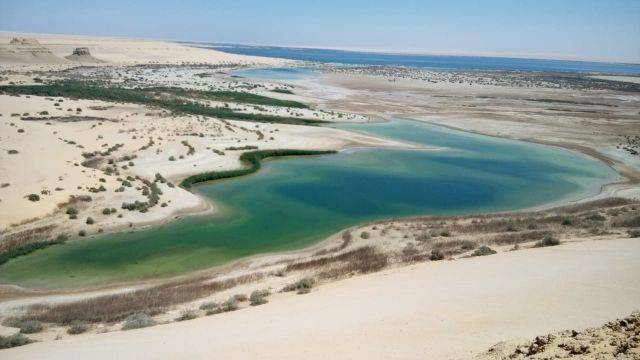 Excursion de 3 jours au désert blanc et au wadi el Hitan depuis Louxor