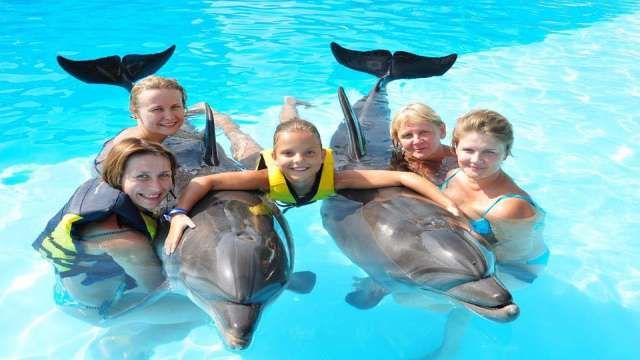 Nager avec les dauphins à Charm el Cheikh