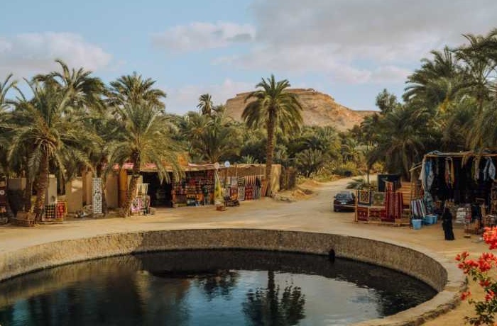 Visites de Siwa au départ du Caire