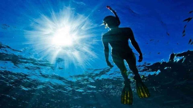 Île de Giftun Snorkeling Tours à Makadi