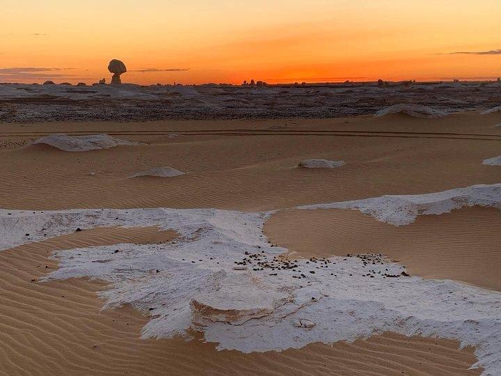 Excursion de 3 jours au désert blanc et au wadi el Hitan depuis Louxor