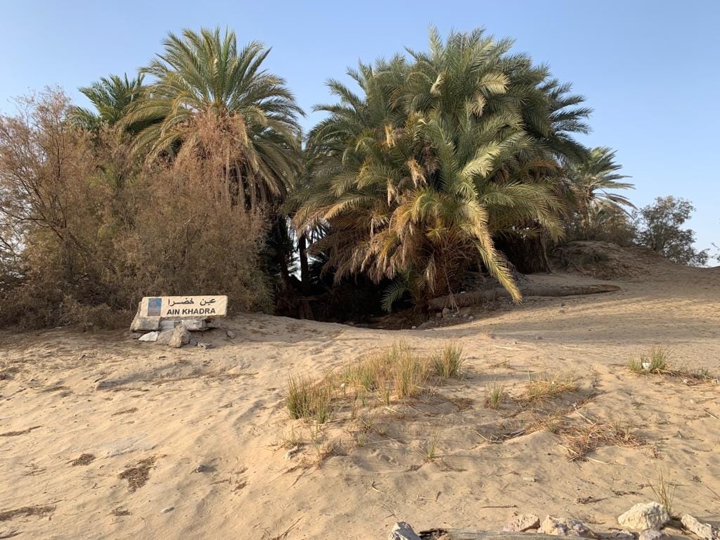 Ain Khadra in Farafra  Oasis 
