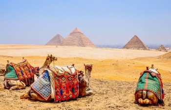 2 days Trip to luxor and Cairo from Safaga Port