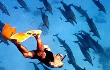 Aswan Airport Transfers To Marsa Alam Hotels