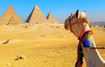 Cairo day tour from Alexandria Port