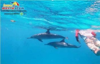 Luxor Airport Transfers To Marsa Alam