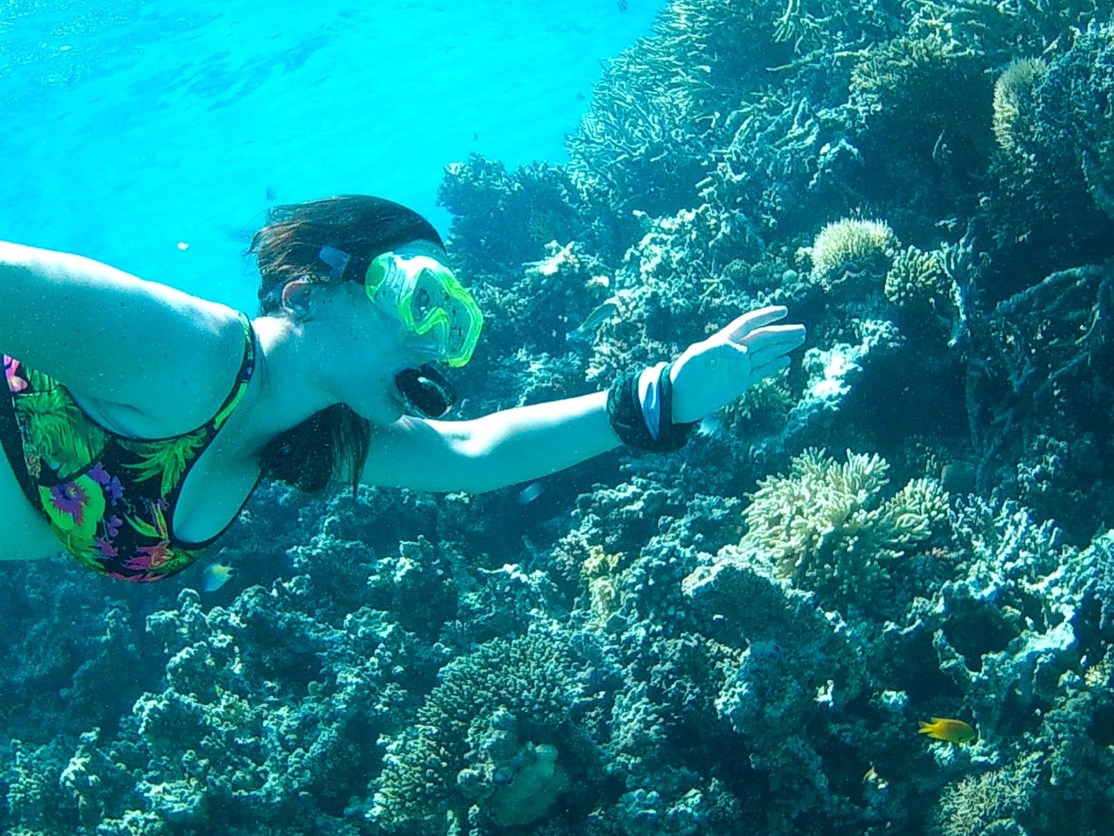 Snorkeling Excursions from Makadi