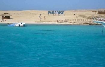 snorkeling day trip paradise island hurghada egypt