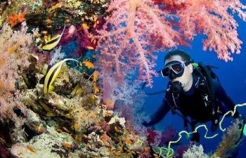 day scuba diving Makadi Egypt Red Sea