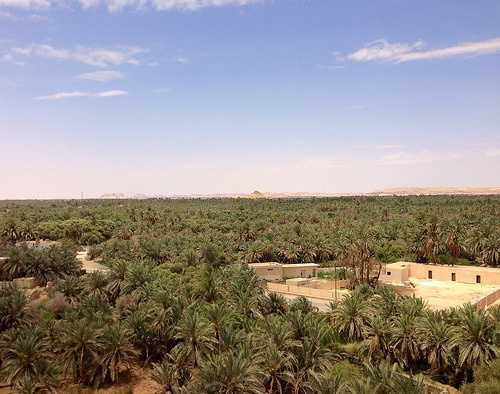 Egitto Avventura Safari nel Deserto