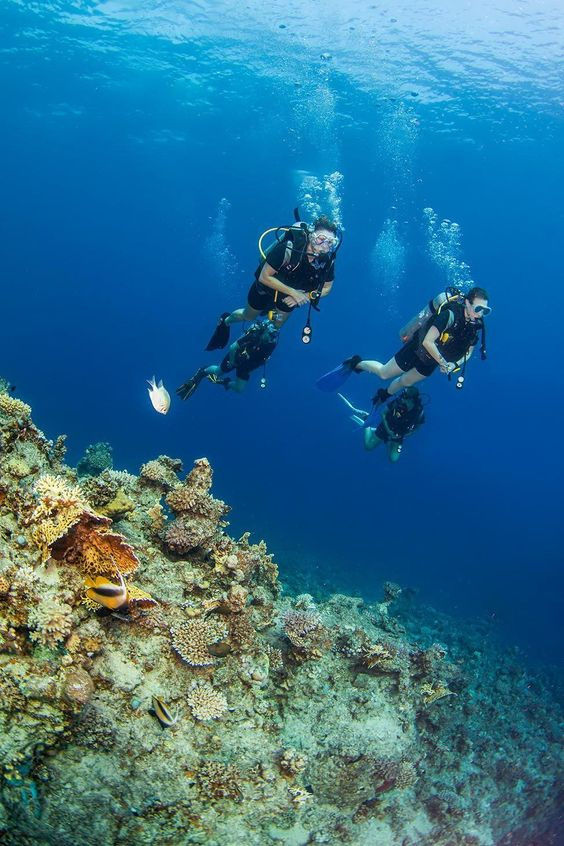 Gita di snorkeling con pernottamento alla barriera corallina dei delfini di Sataya da Marsa Alam