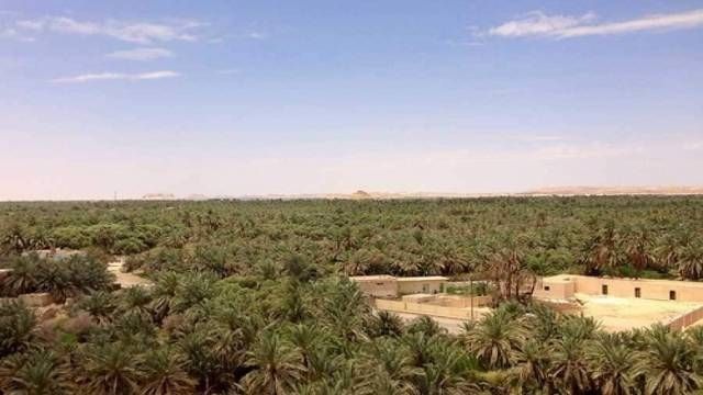 Itinerario di 7 giorni in Egitto Il Cairo e il deserto bianco