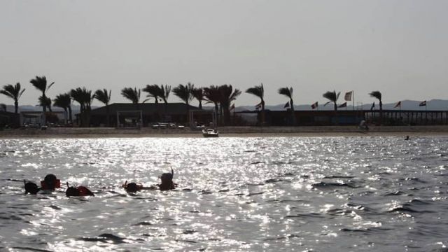 Snorkeling Escursione alla spiaggia di Abu Dabab