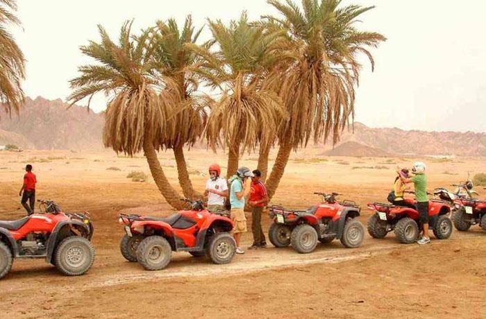 Tour Safari da El Gouna