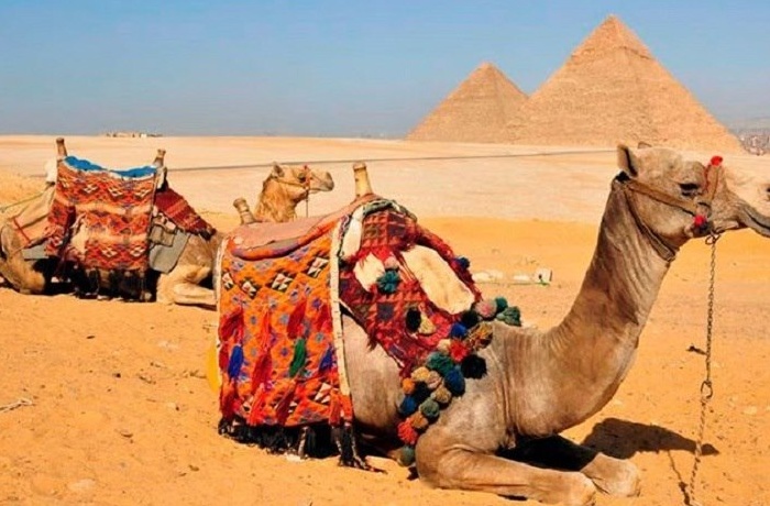 Tour del Cairo da El Gouna
