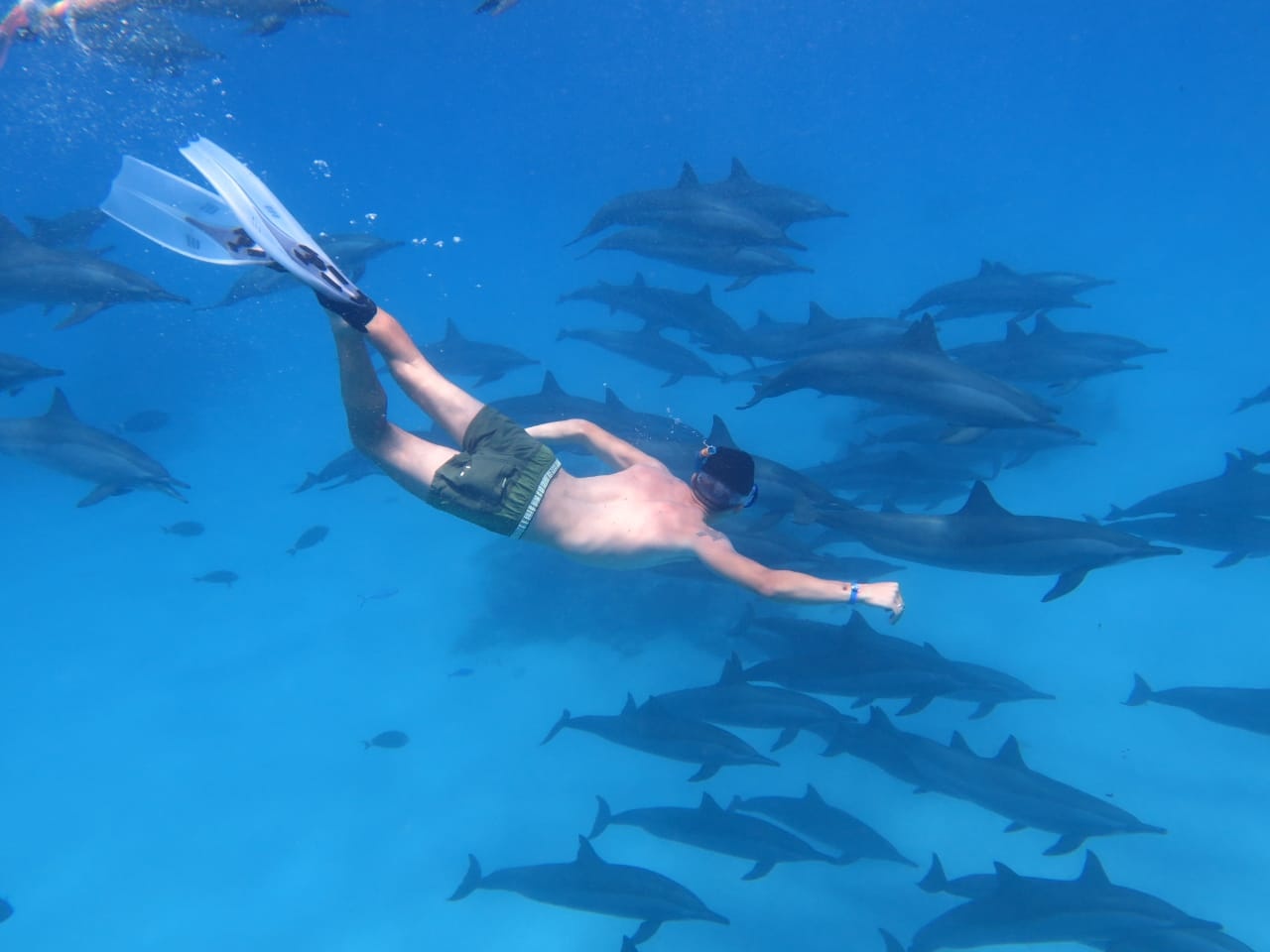 escursioni snorkeling el gouna | tour giornalieri el gouna